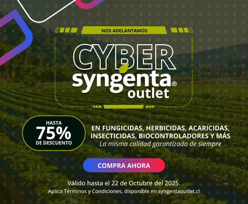 Cyber Syngenta